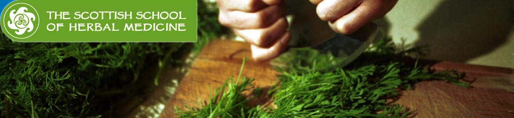 Herbal Header